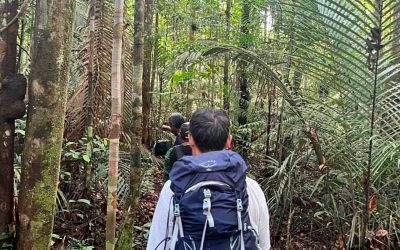 amazon-jungle-tours-manaus