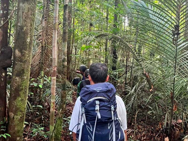 amazon-jungle-tours-manaus
