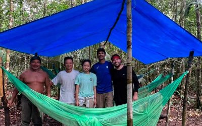 anavilhanas-camping