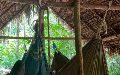 anavilhanas-camping-trip